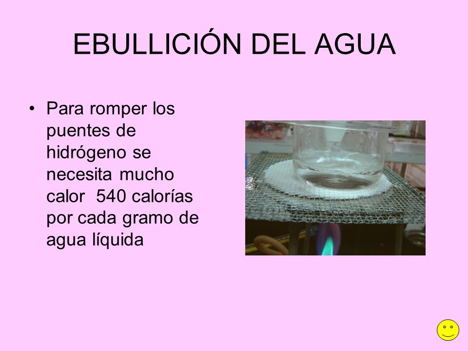 EBULLICIÓN DEL AGUA Para romper los puentes de hidrógeno se necesita mucho calor 540 calorías por cada gramo de agua líquida.