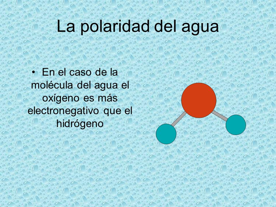 La polaridad del agua En el caso de la molécula del agua el oxígeno es más electronegativo que el hidrógeno.