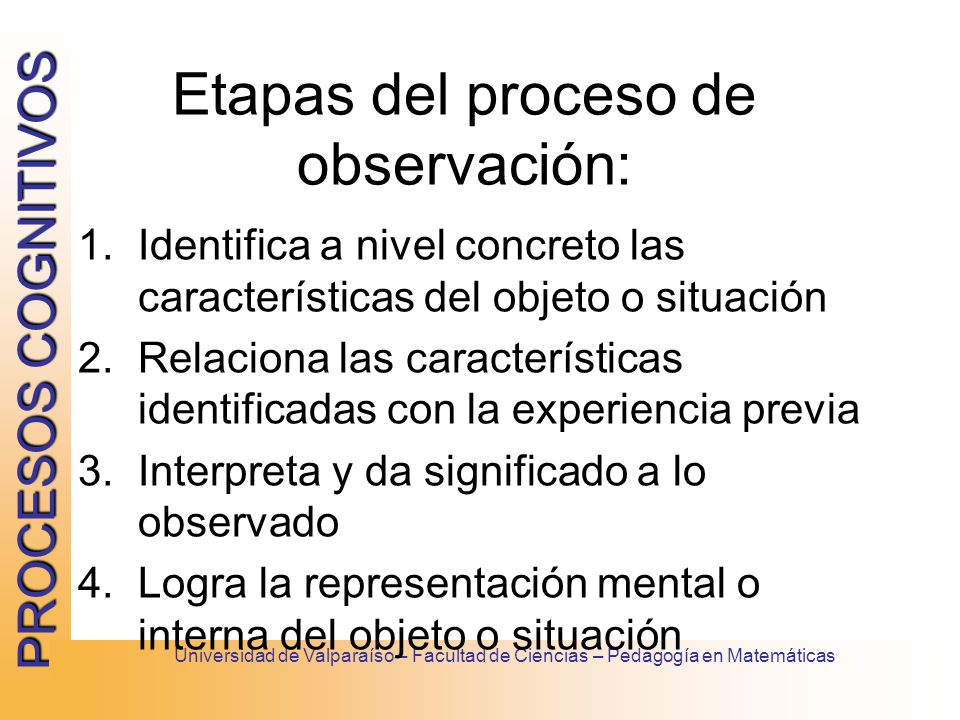 Etapas del proceso de observación: