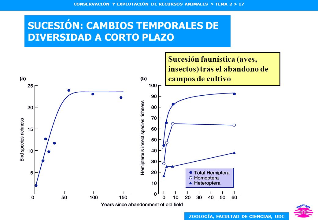 SUCESIÓN: CAMBIOS TEMPORALES DE DIVERSIDAD A CORTO PLAZO