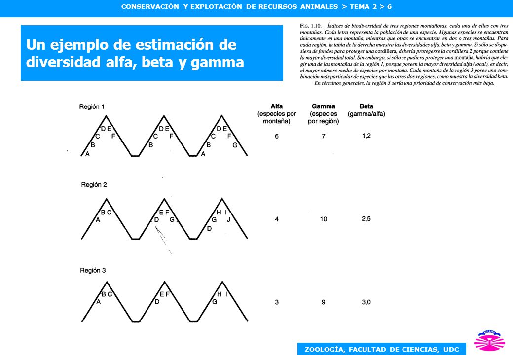 Un ejemplo de estimación de diversidad alfa, beta y gamma