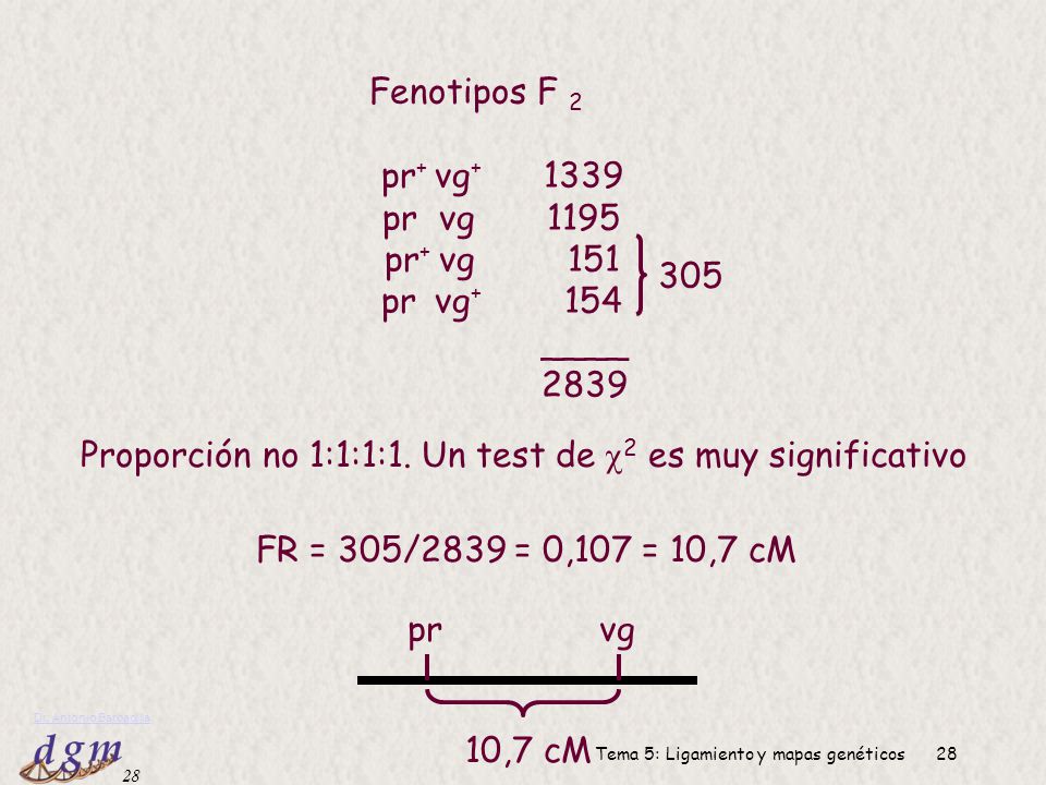 Proporción no 1:1:1:1. Un test de 2 es muy significativo