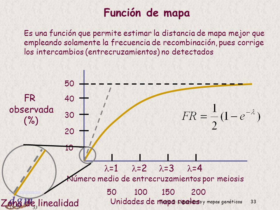 Función de mapa FR observada (%) Zona de linealidad =1 =2 =3 =4