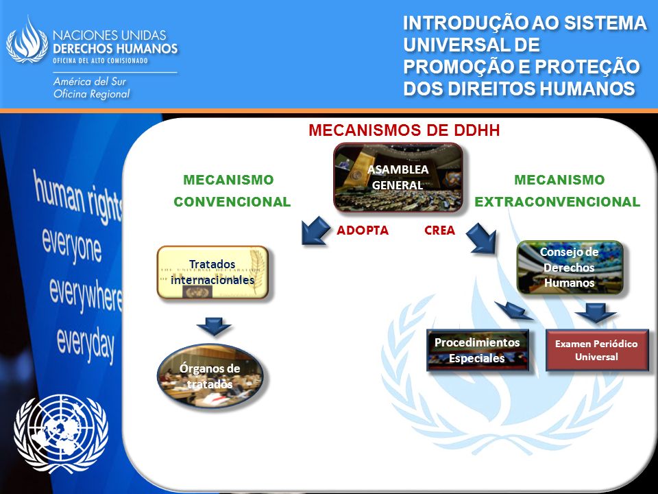 INTRODUÇÃO AO SISTEMA UNIVERSAL DE PROMOÇÃO E PROTEÇÃO DOS DIREITOS HUMANOS