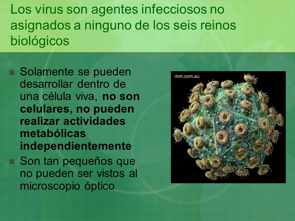 Los virus son agentes infecciosos no asignados a ninguno de los seis reinos biológicos