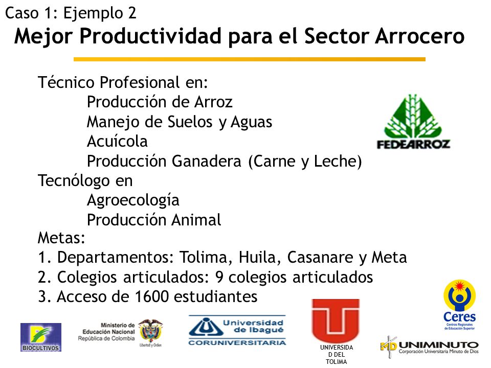 Mejor Productividad para el Sector Arrocero