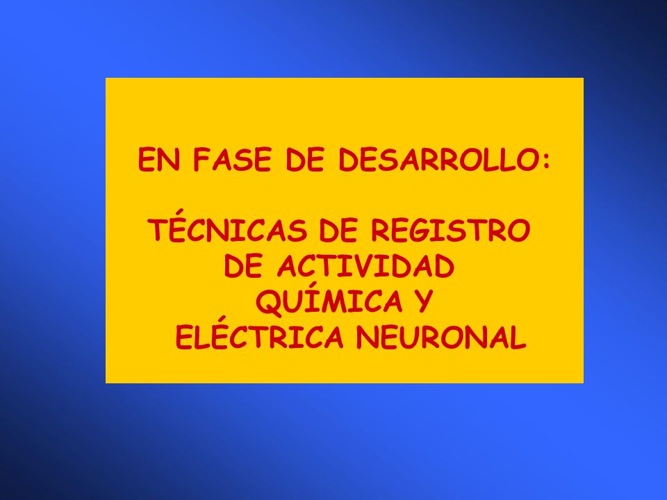 EN FASE DE DESARROLLO: TÉCNICAS DE REGISTRO DE ACTIVIDAD QUÍMICA Y ELÉCTRICA NEURONAL