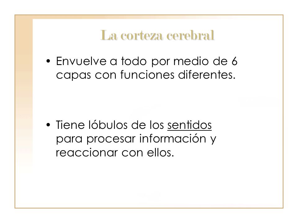 La corteza cerebral Envuelve a todo por medio de 6 capas con funciones diferentes.