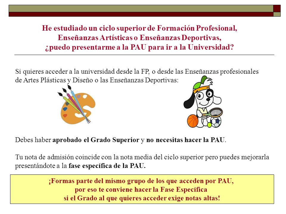 He estudiado un ciclo superior de Formación Profesional,