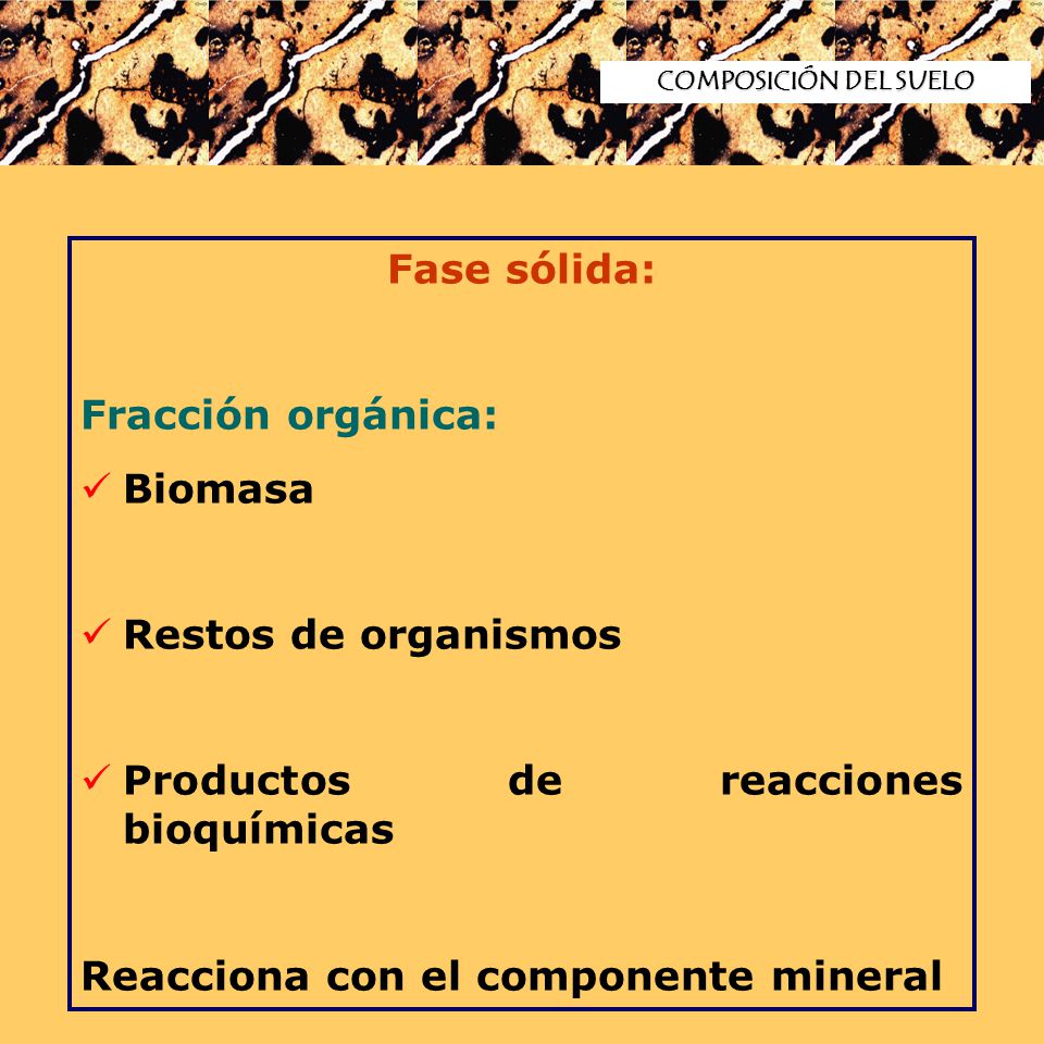 Productos de reacciones bioquímicas