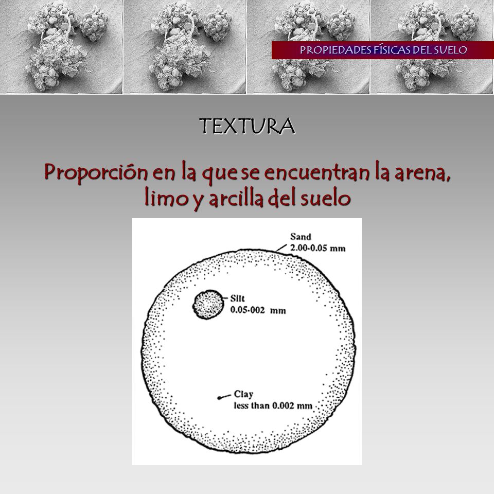 Proporción en la que se encuentran la arena, limo y arcilla del suelo