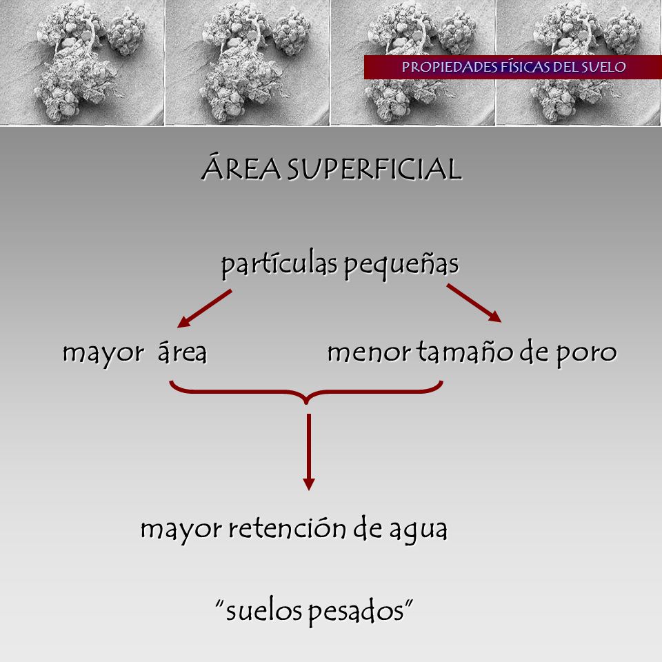 PROPIEDADES FÍSICAS DEL SUELO mayor área menor tamaño de poro