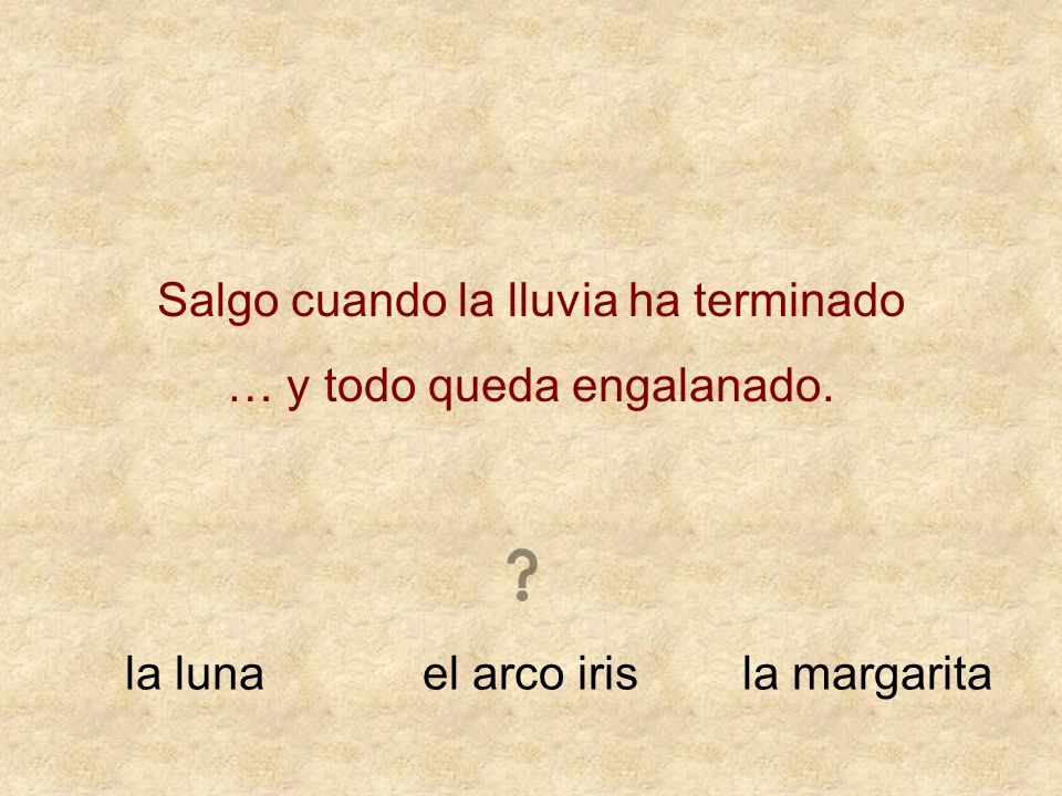Salgo cuando la lluvia ha terminado … y todo queda engalanado.
