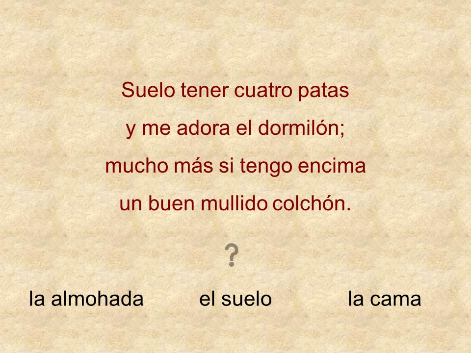 Suelo tener cuatro patas y me adora el dormilón;