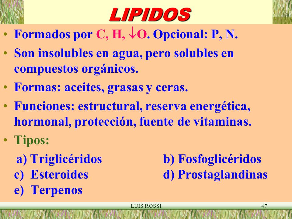 LIPIDOS Formados por C, H, O. Opcional: P, N.