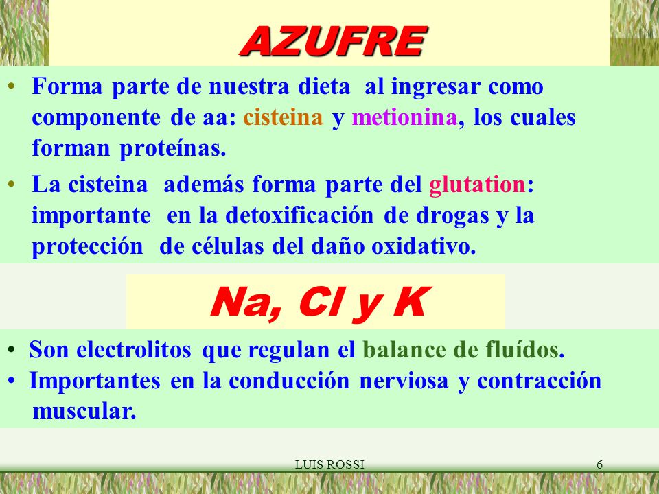 AZUFRE Forma parte de nuestra dieta al ingresar como componente de aa: cisteina y metionina, los cuales forman proteínas.