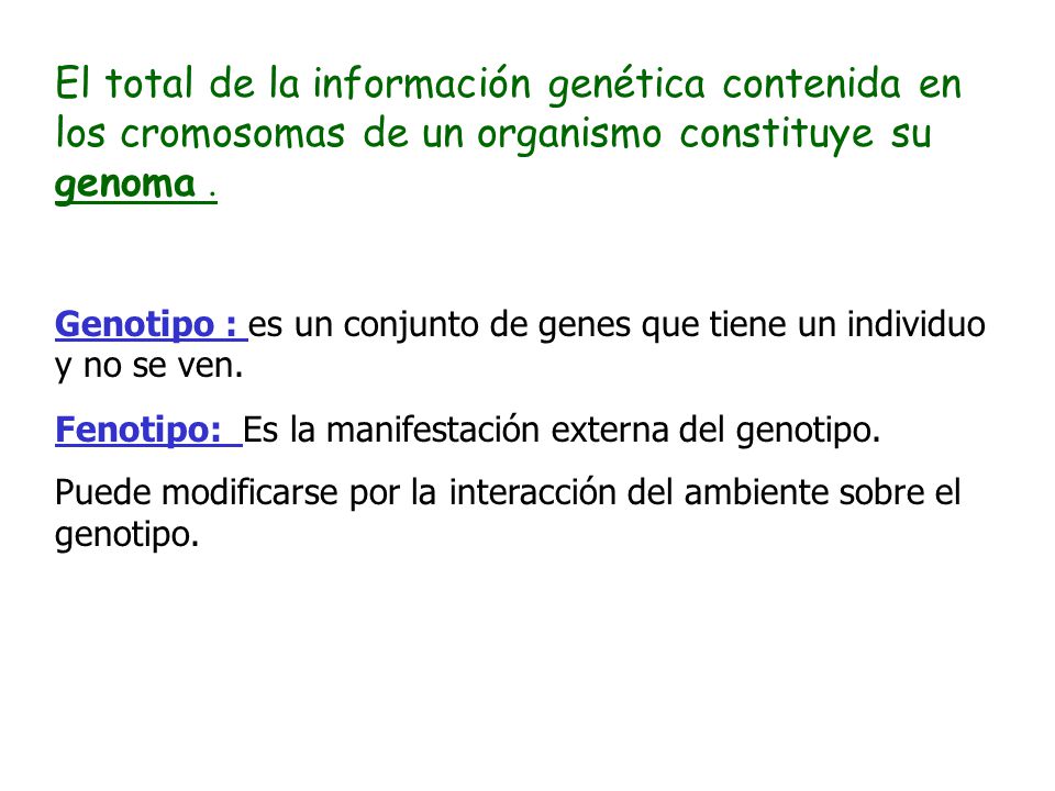 El total de la información genética contenida en los cromosomas de un organismo constituye su genoma .