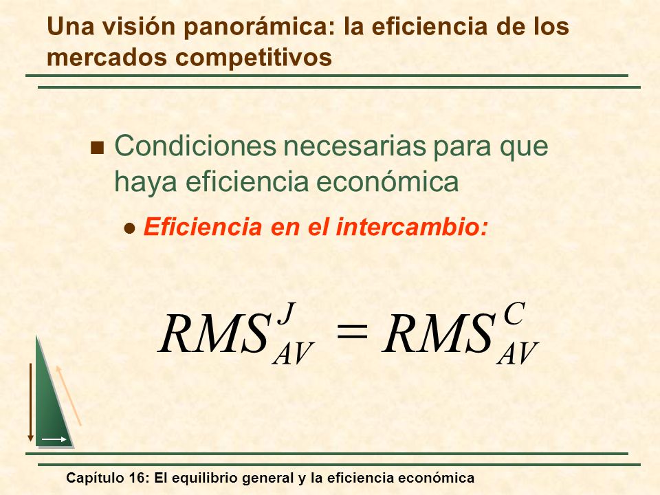 Una visión panorámica: la eficiencia de los mercados competitivos