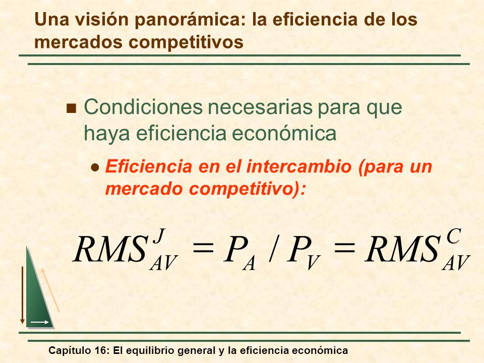 Una visión panorámica: la eficiencia de los mercados competitivos