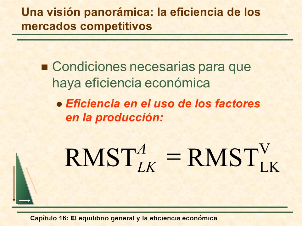 Una visión panorámica: la eficiencia de los mercados competitivos