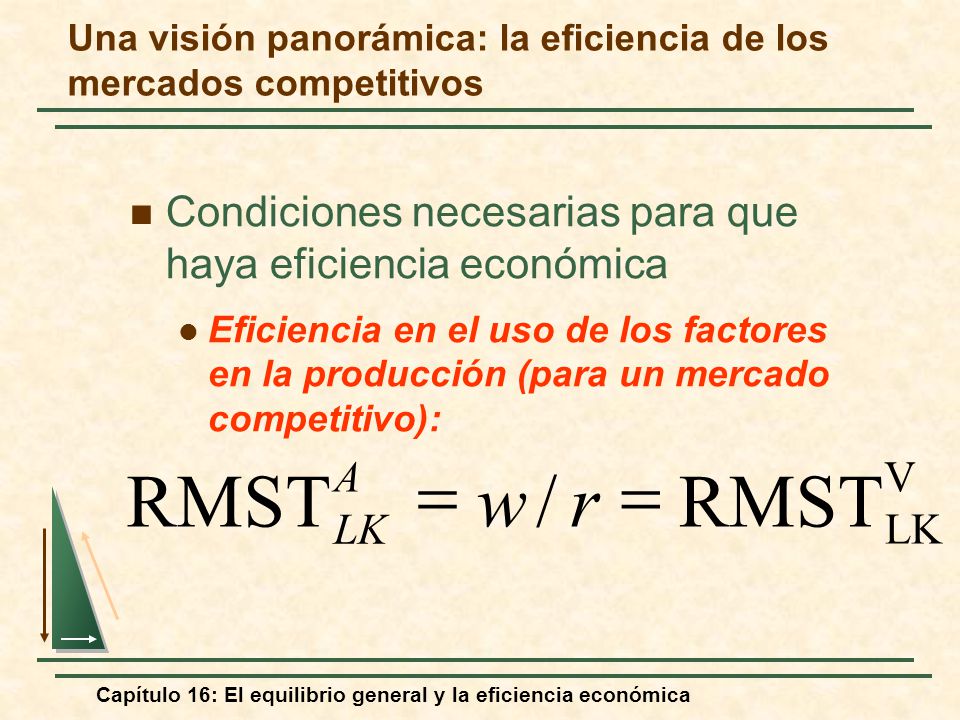 Una visión panorámica: la eficiencia de los mercados competitivos
