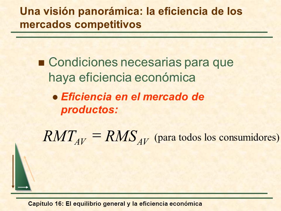 Una visión panorámica: la eficiencia de los mercados competitivos
