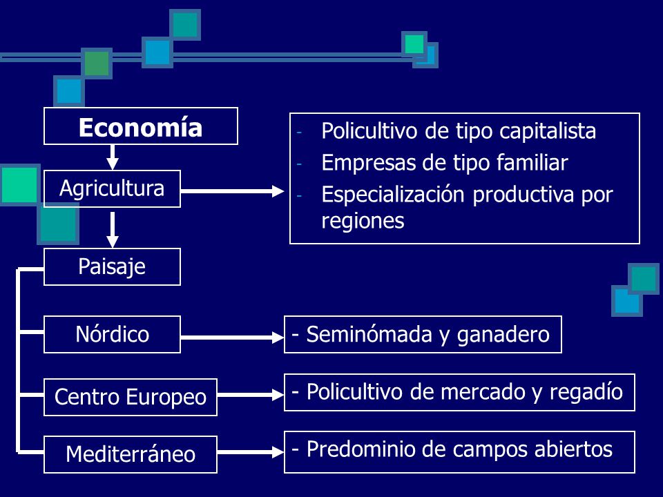Economía Policultivo de tipo capitalista Empresas de tipo familiar