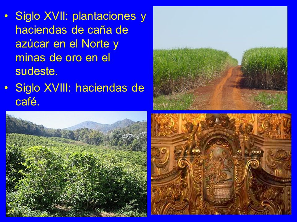 Siglo XVII: plantaciones y haciendas de caña de azúcar en el Norte y minas de oro en el sudeste.