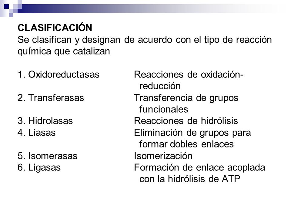 CLASIFICACIÓN Se clasifican y designan de acuerdo con el tipo de reacción química que catalizan 1.
