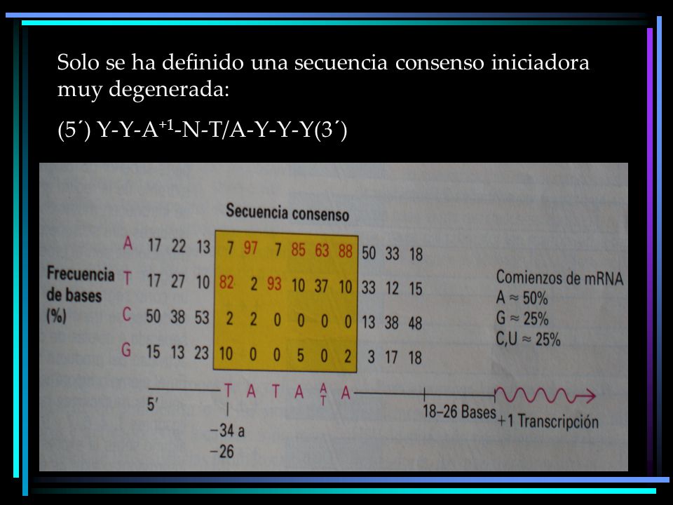 Solo se ha definido una secuencia consenso iniciadora muy degenerada:
