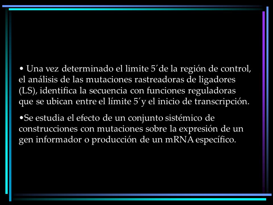 Una vez determinado el limite 5´de la región de control, el análisis de las mutaciones rastreadoras de ligadores (LS), identifica la secuencia con funciones reguladoras que se ubican entre el límite 5´y el inicio de transcripción.