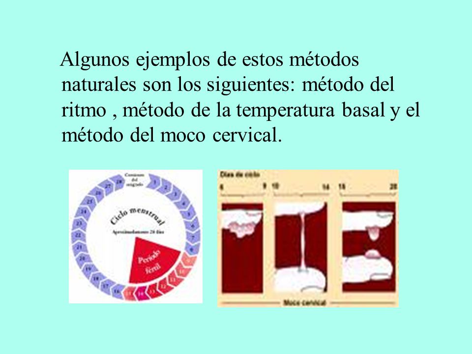 Algunos ejemplos de estos métodos naturales son los siguientes: método del ritmo , método de la temperatura basal y el método del moco cervical.