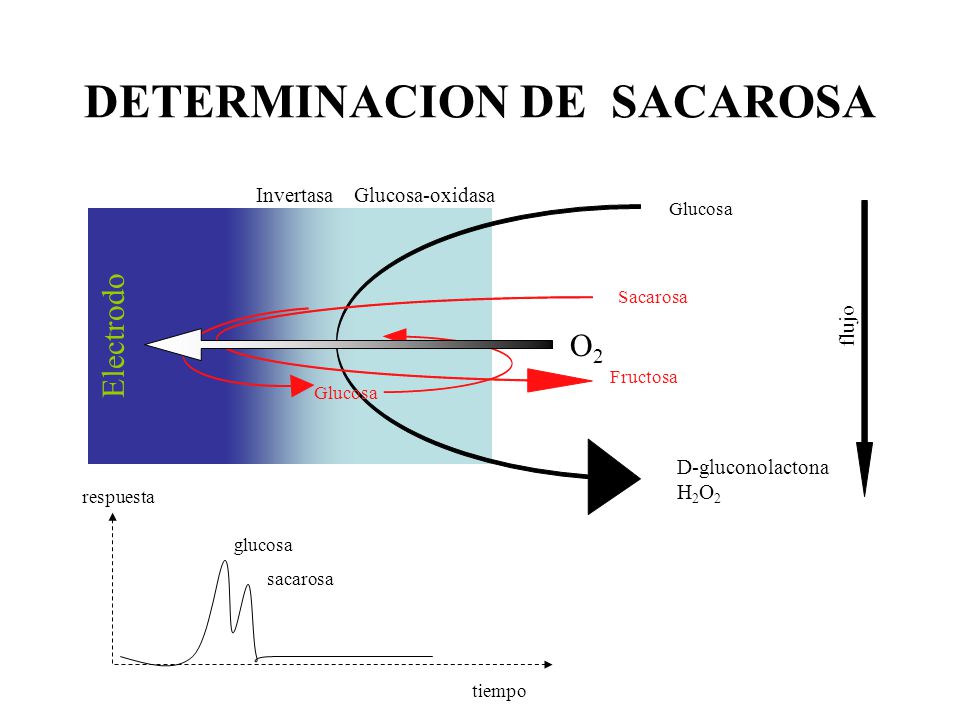 DETERMINACION DE SACAROSA