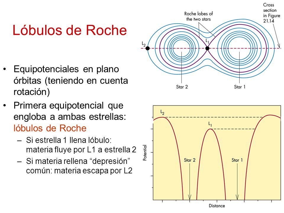 Lóbulos de Roche Equipotenciales en plano órbitas (teniendo en cuenta rotación)