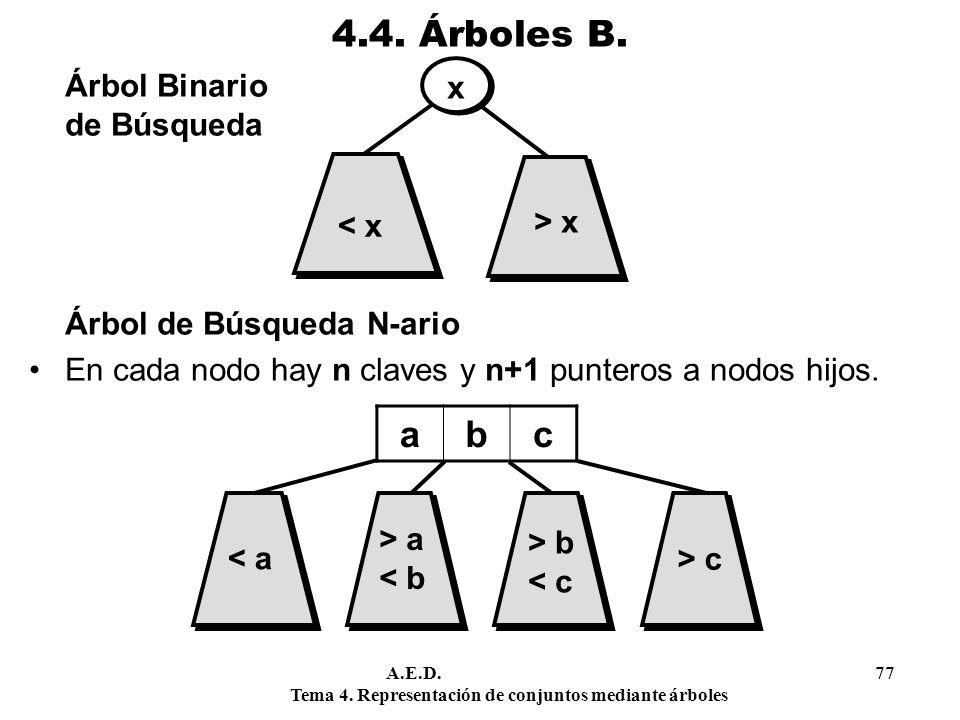 4.4. Árboles B. a b c Árbol Binario de Búsqueda