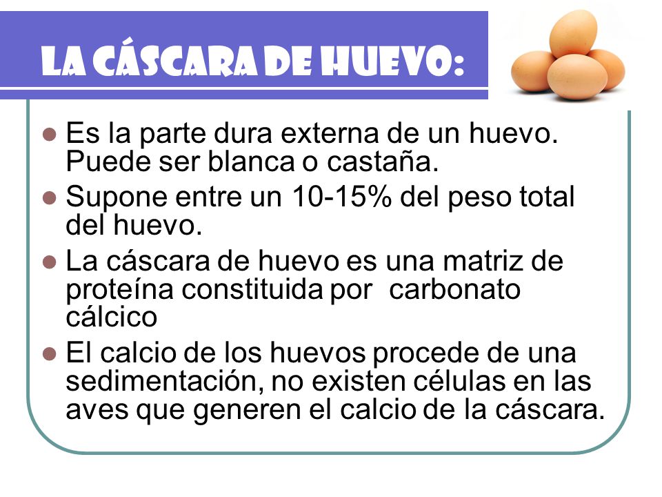La cáscara de huevo: Es la parte dura externa de un huevo. Puede ser blanca o castaña. Supone entre un 10-15% del peso total del huevo.
