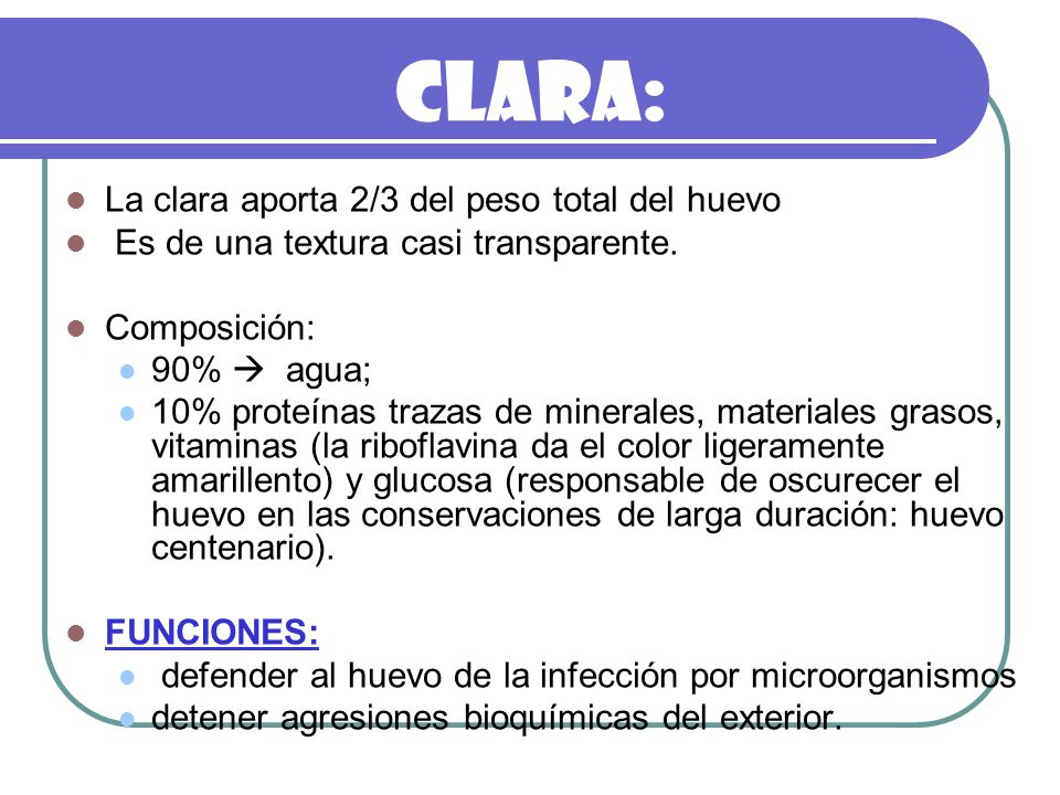 Clara: La clara aporta 2/3 del peso total del huevo