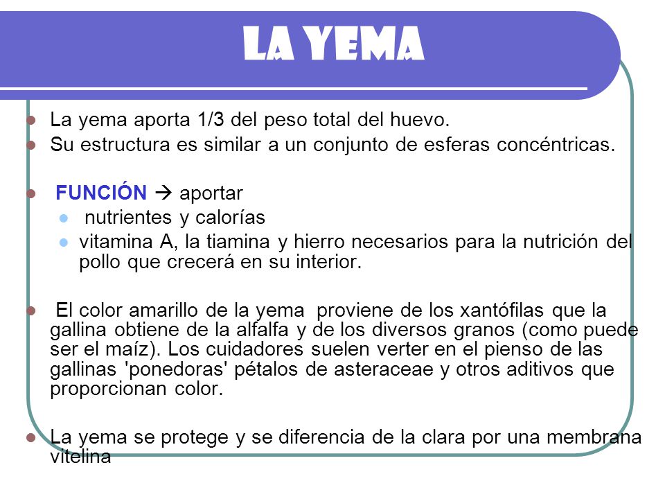 La yema La yema aporta 1/3 del peso total del huevo.