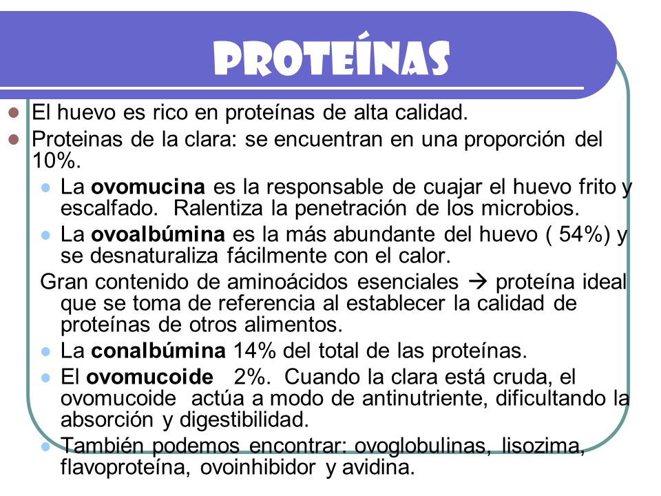 Proteínas El huevo es rico en proteínas de alta calidad.