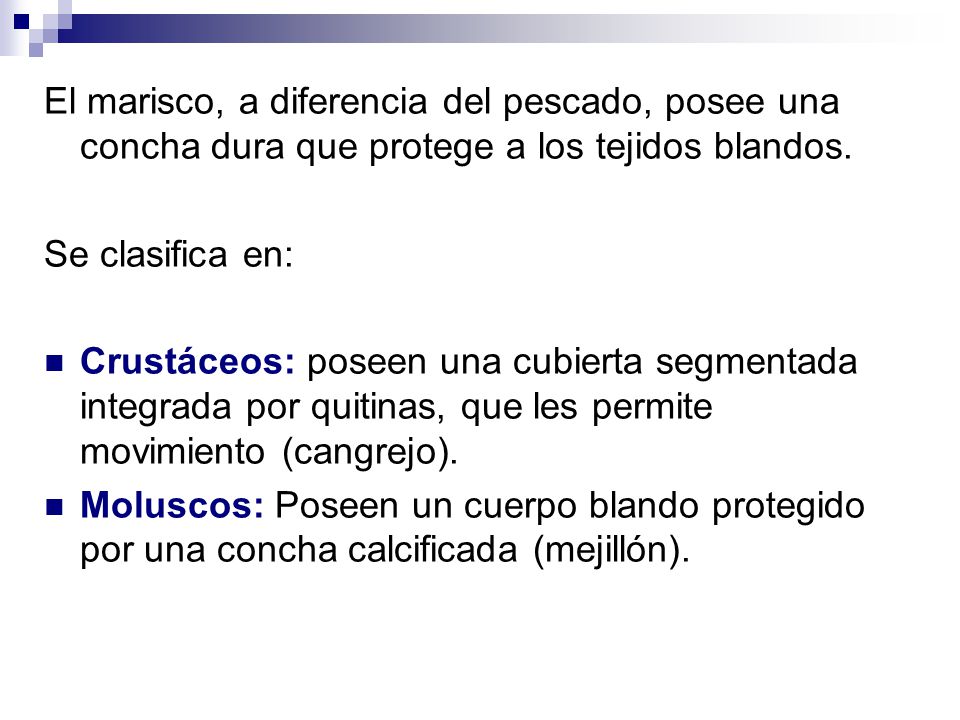 El marisco, a diferencia del pescado, posee una concha dura que protege a los tejidos blandos.