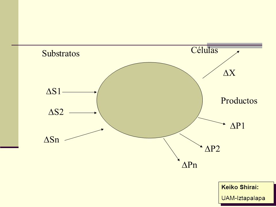 Células Substratos DX DS1 Productos DS2 DP1 DSn DP2 DPn Keiko Shirai: