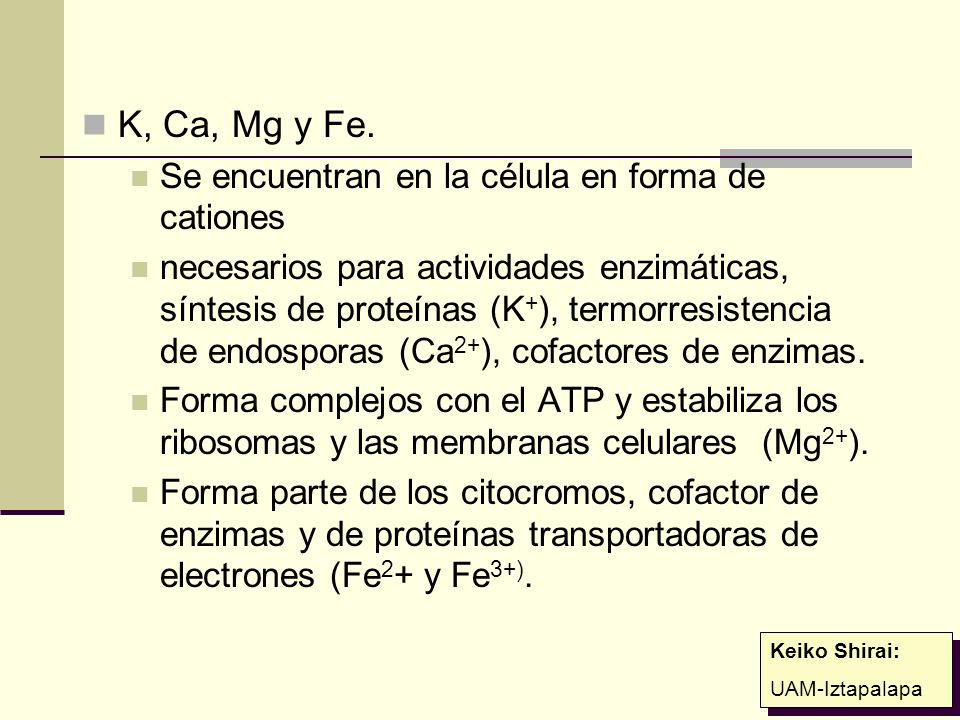 K, Ca, Mg y Fe. Se encuentran en la célula en forma de cationes