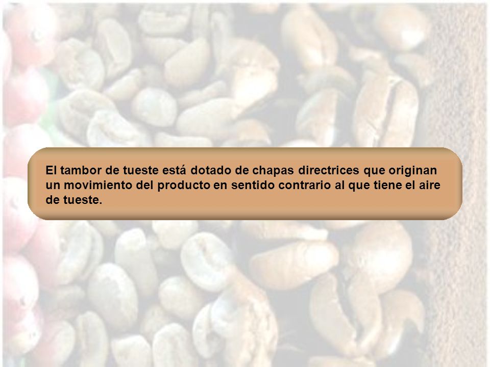 El tambor de tueste está dotado de chapas directrices que originan un movimiento del producto en sentido contrario al que tiene el aire de tueste.