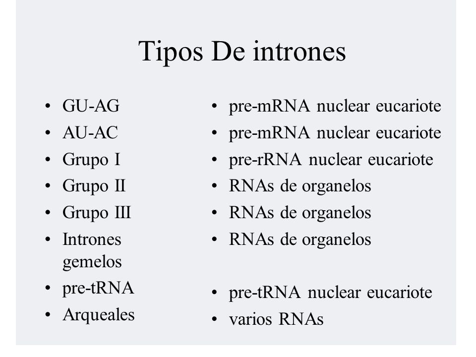Tipos De intrones GU-AG AU-AC Grupo I Grupo II Grupo III