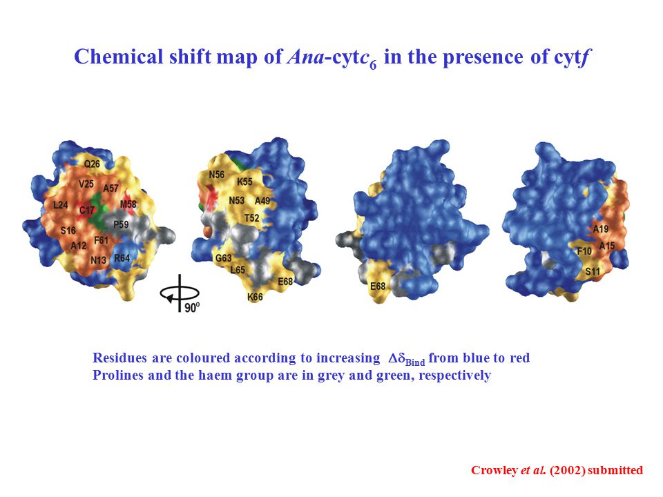 Chemical shift map of Ana-cytc6 in the presence of cytf