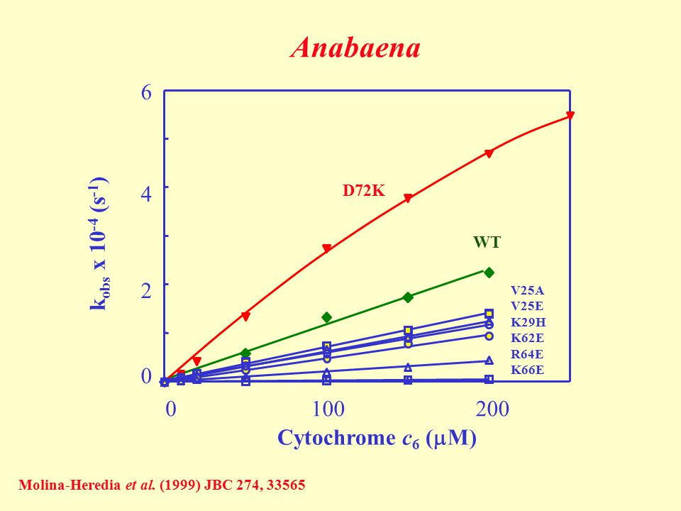 Anabaena Cytochrome c6 (mM) kobs x 10-4 (s-1) D72K WT