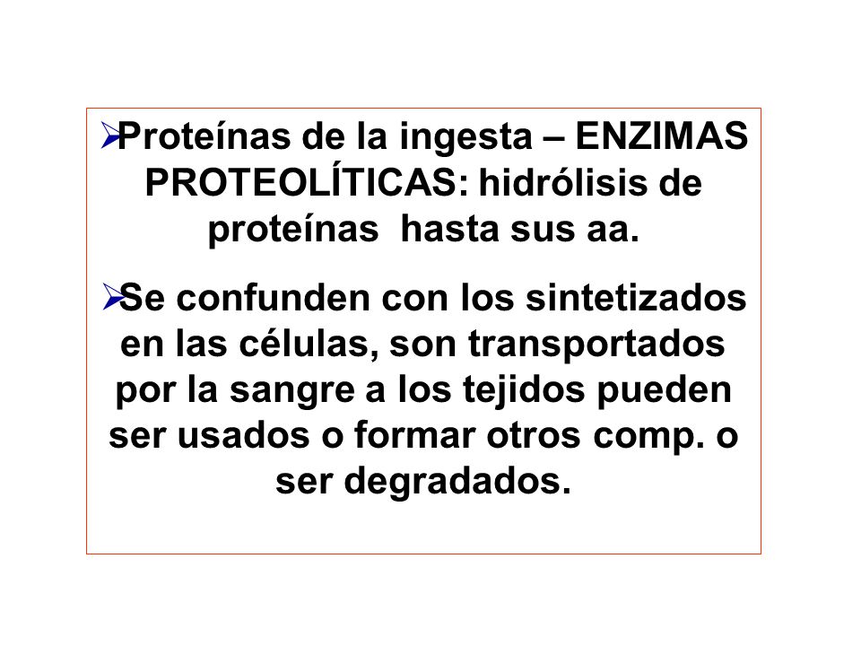 Proteínas de la ingesta – ENZIMAS PROTEOLÍTICAS: hidrólisis de proteínas hasta sus aa.
