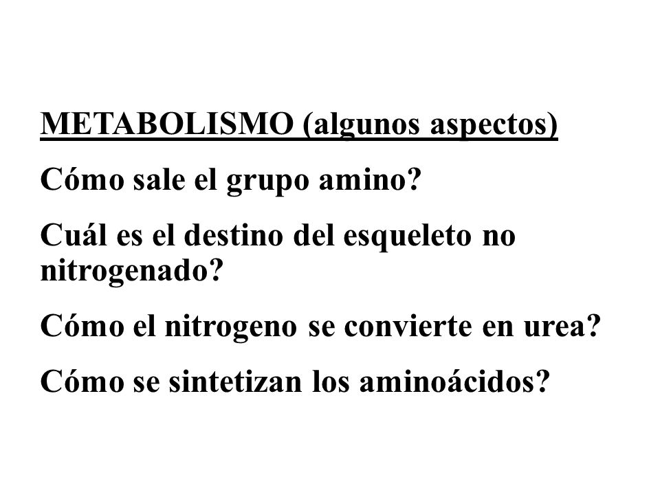 METABOLISMO (algunos aspectos)