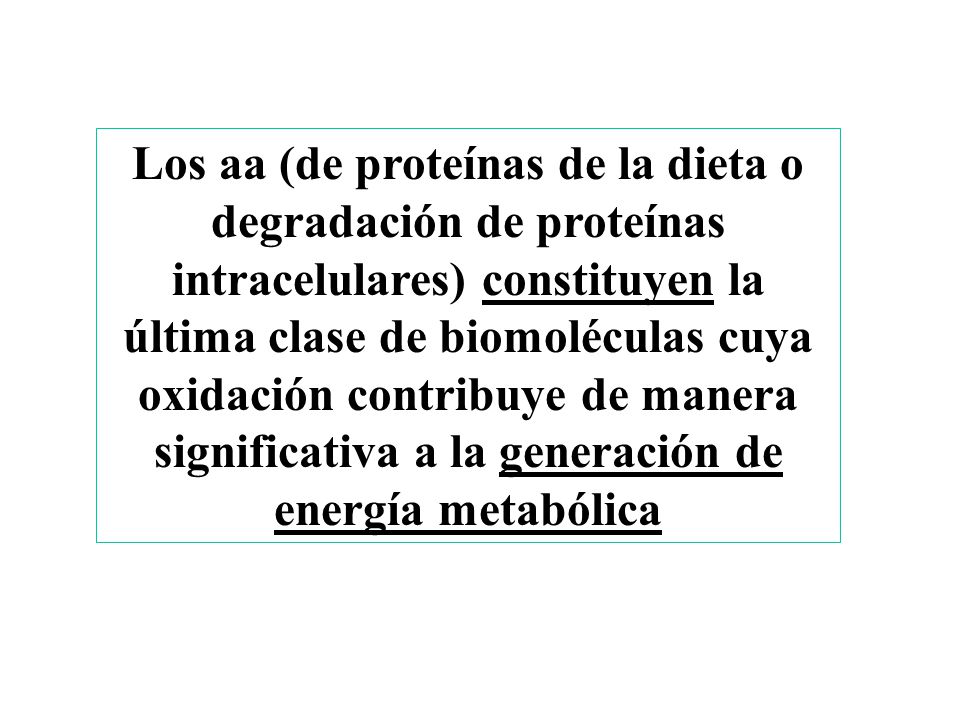 Los aa (de proteínas de la dieta o degradación de proteínas intracelulares) constituyen la última clase de biomoléculas cuya oxidación contribuye de manera significativa a la generación de energía metabólica