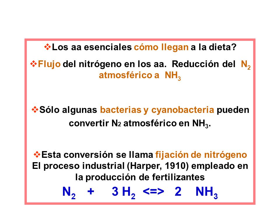 N2 + 3 H2 <=> 2 NH3 Los aa esenciales cómo llegan a la dieta